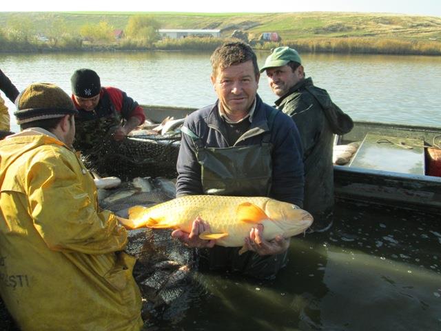 Navod Noiembrie 2013 - Crapi ramasi - peste-sulimanu-10.JPG